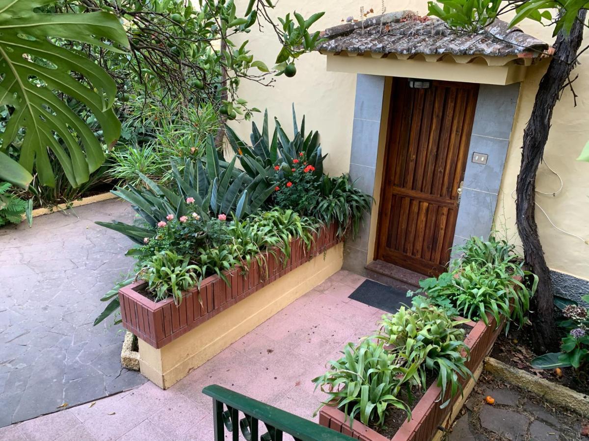 Casa Rural De Tio Felix Vega de San Mateo Exterior photo